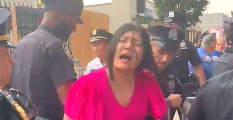 New York City Council member arrested, accused of biting police officer